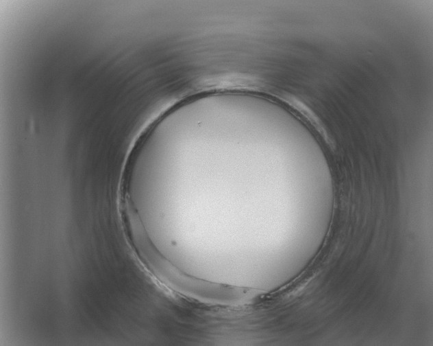 X0000066531285200604141830