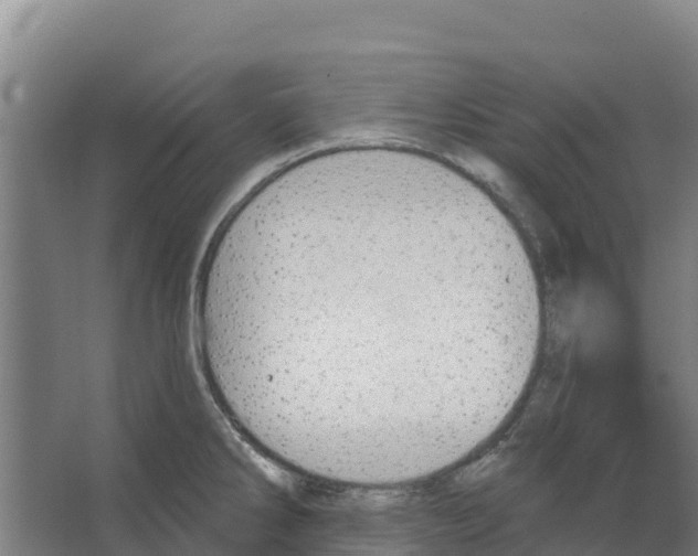 X0000066531286200604141830