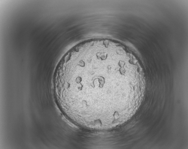 X0000066531287200604141830