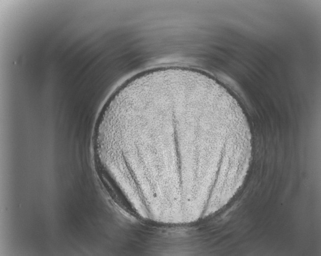 X0000066531288200604141830