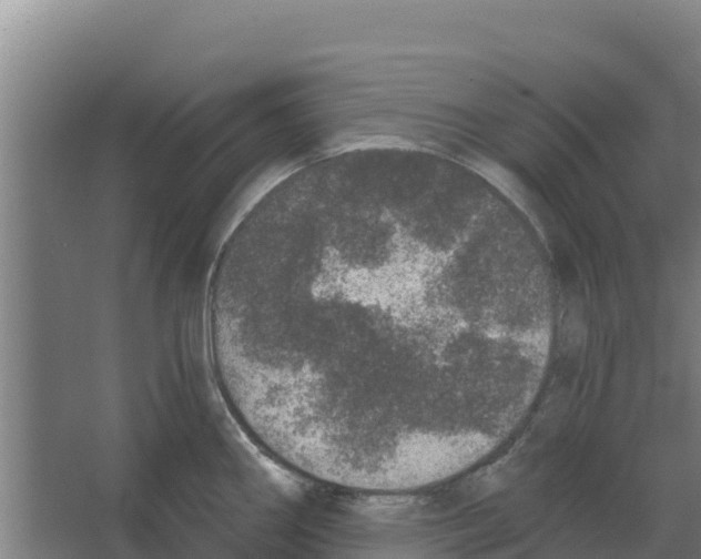 X0000066531290200604141830