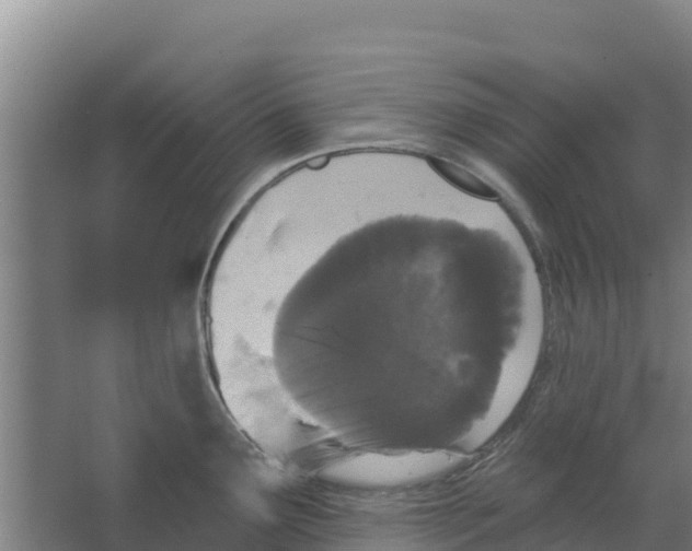 X0000066531291200604141830