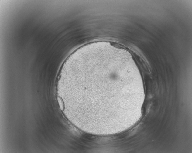 X0000066531292200604141830