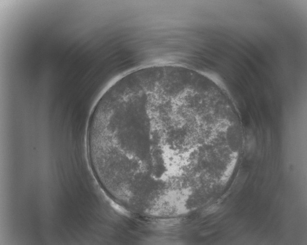 X0000066531294200604141830