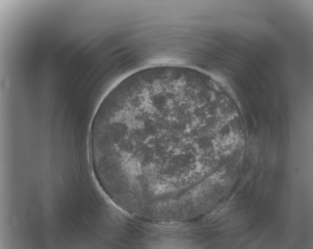 X0000066531295200604141830