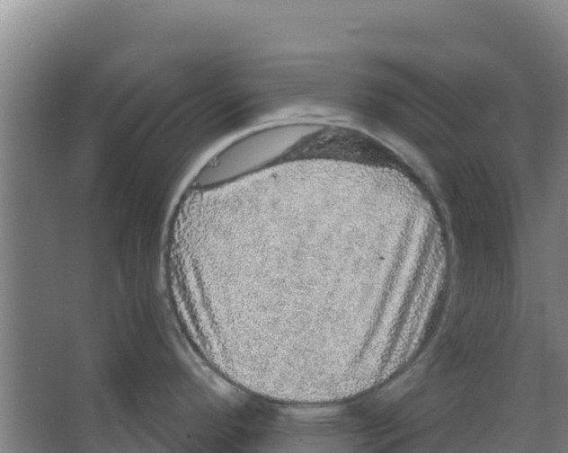 X0000066531296200604141830