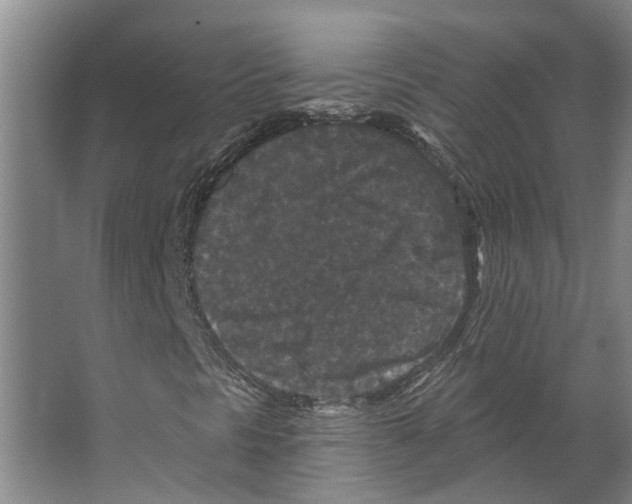 X0000066531297200604141829