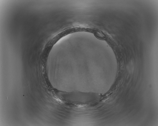 X0000066531303200604141829