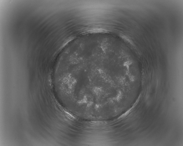 X0000066531305200604141829