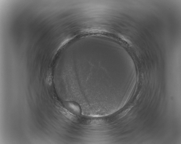 X0000066531306200604141829