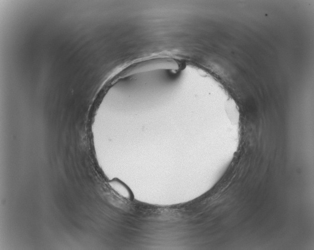 X0000066531308200604141829