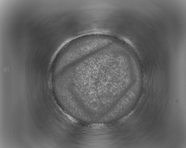 X0000066531310200604141829