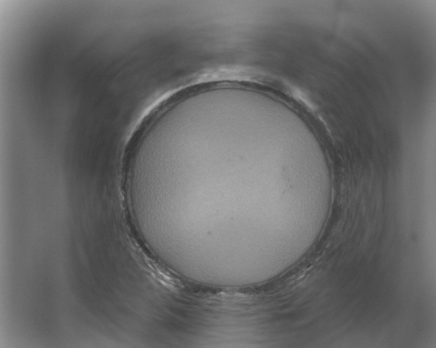 X0000066531312200604141829