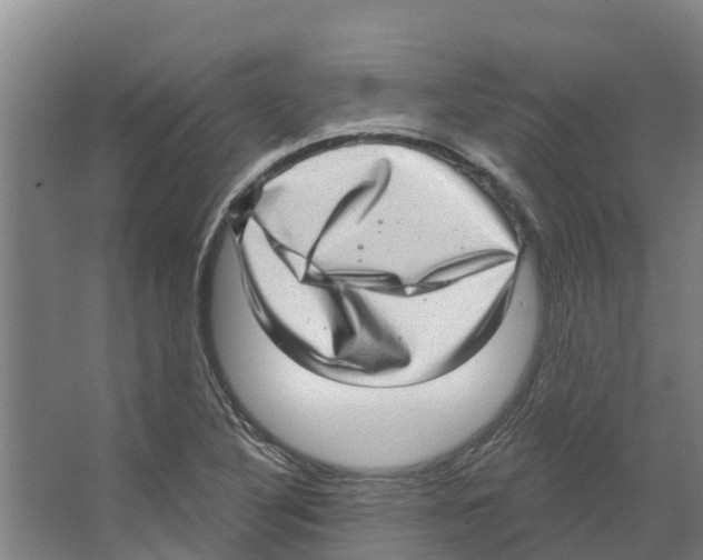 X0000066531316200604141829