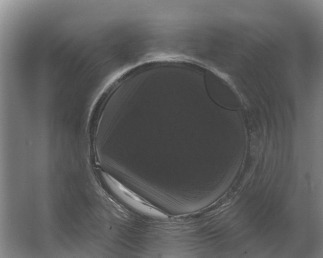 X0000066531319200604141829