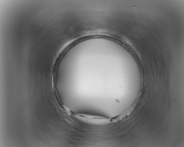 X0000066531320200604141829