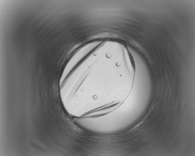 X0000066531321200604141829