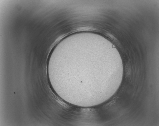 X0000066531322200604141829