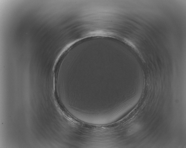 X0000066531323200604141829