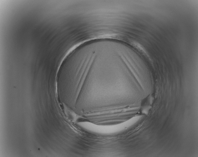 X0000066531324200604141829