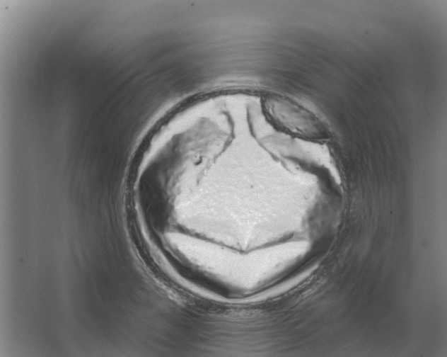 X0000066531325200604141829