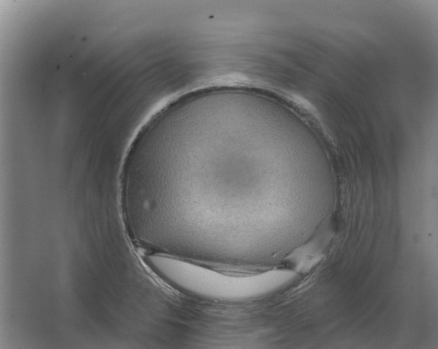 X0000066531326200604141830