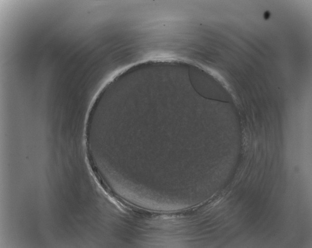 X0000066531327200604141830