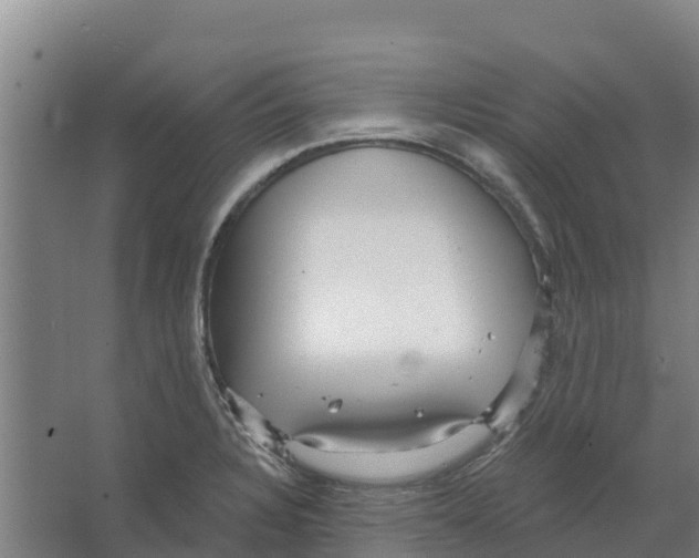 X0000066531328200604141830