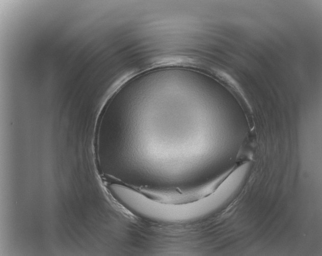 X0000066531330200604141830