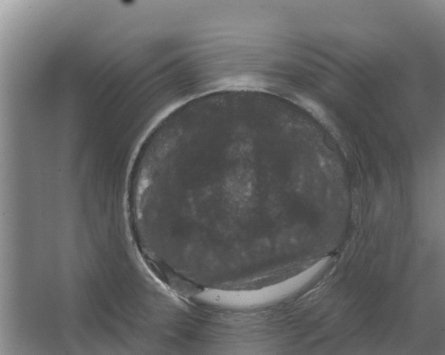 X0000066531331200604141830