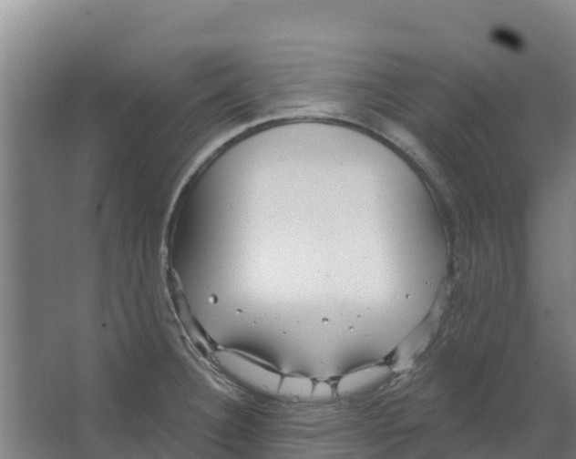 X0000066531332200604141830