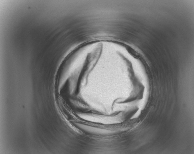 X0000066531333200604141830