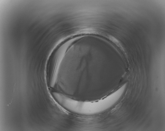 X0000066531334200604141830