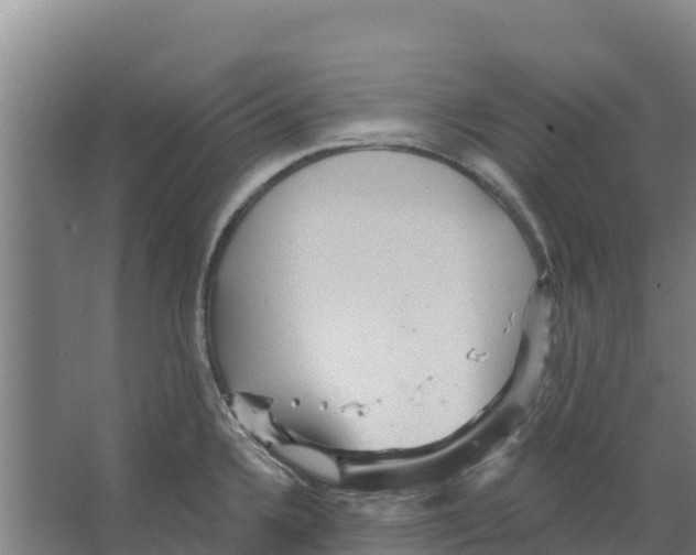 X0000066531336200604141830