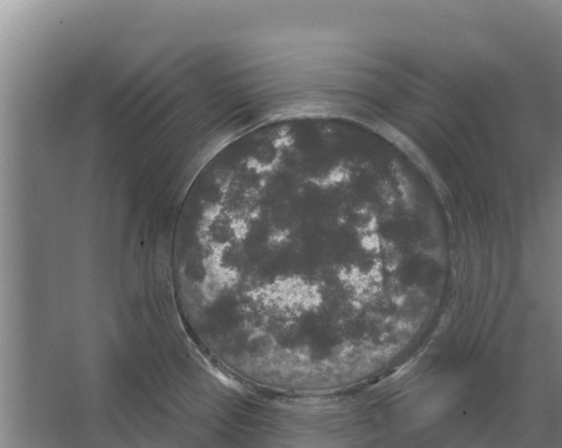 X0000066531337200604141830