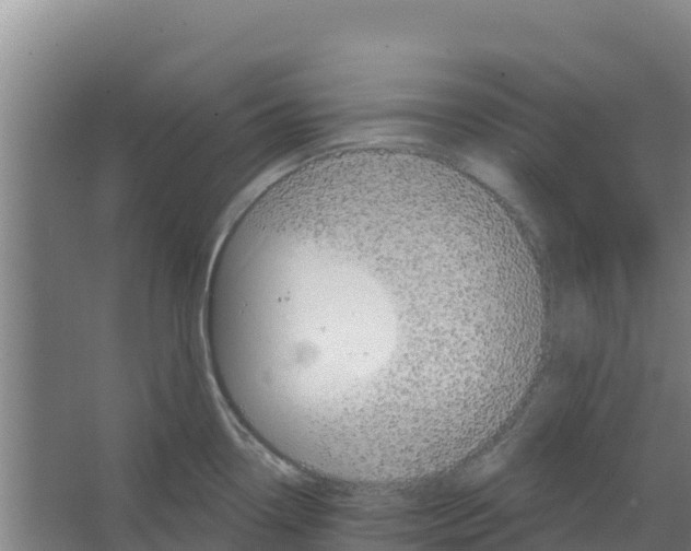 X0000066531338200604141830