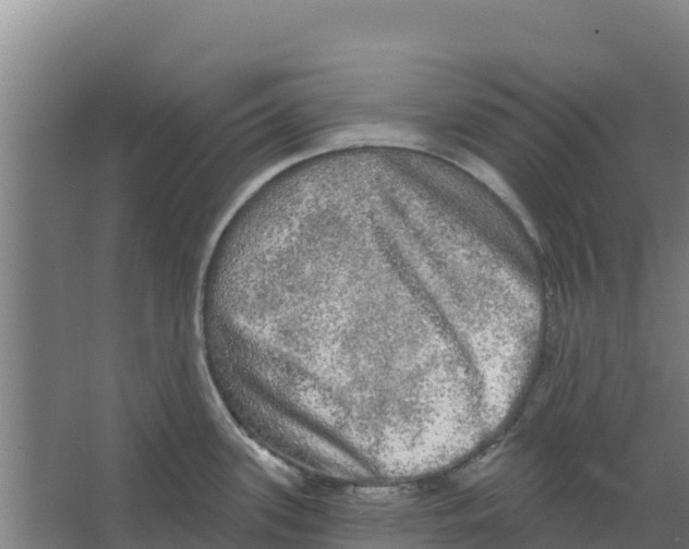 X0000066531339200604141830