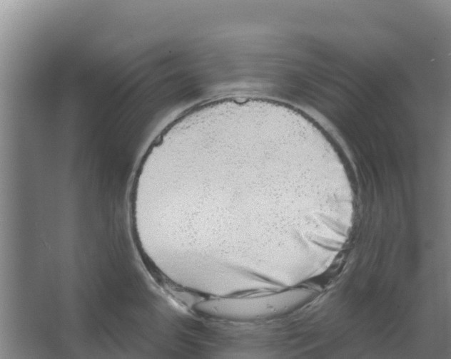 X0000066531341200604141830