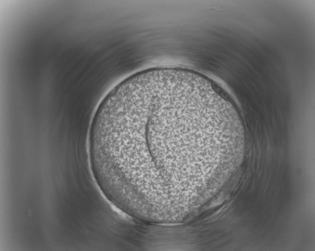 X0000066531343200604141830