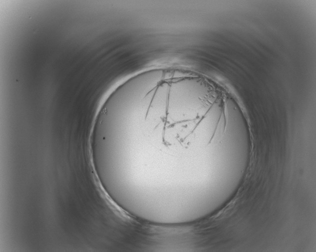 X0000066531344200604141830