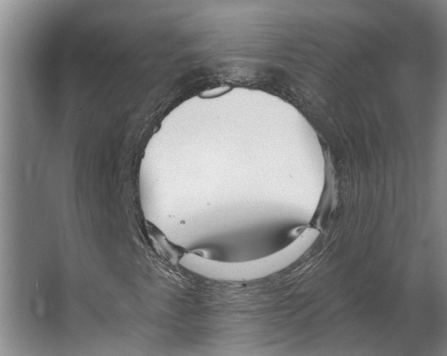 X0000066531345200604141829