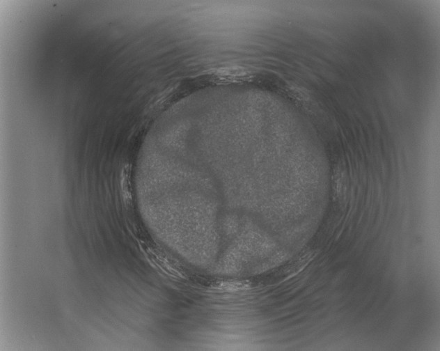 X0000066531346200604141829