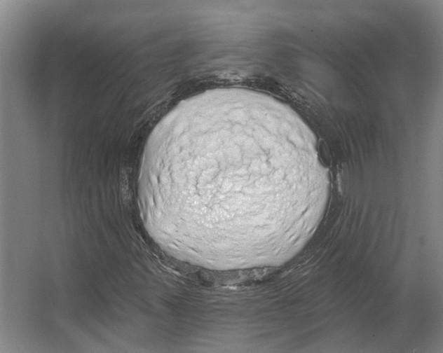 X0000066531347200604141829