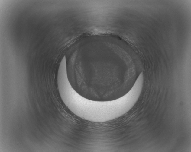 X0000066531348200604141829