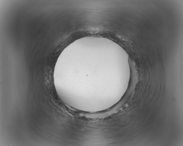 X0000066531349200604141829