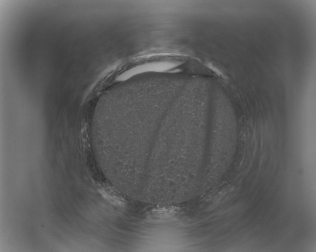 X0000066531351200604141829