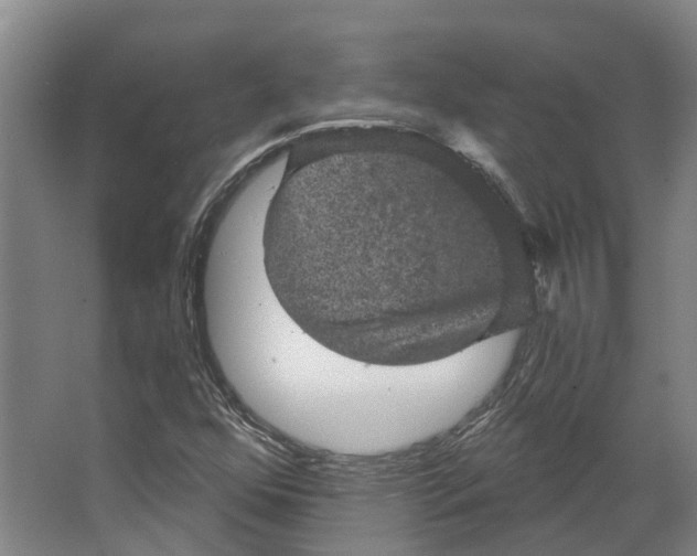 X0000066531352200604141829