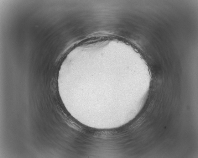 X0000066531355200604141829