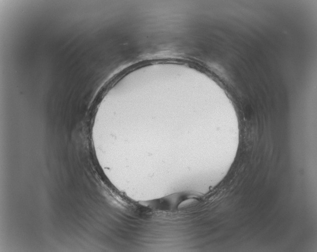 X0000066531356200604141829