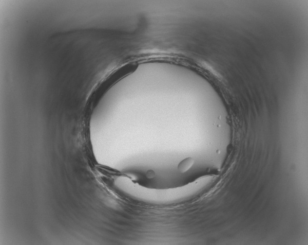 X0000066531357200604141829